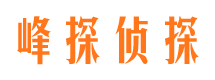 汶上市婚外情调查